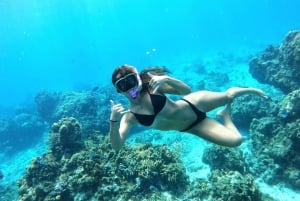 Excursión de snorkel al Santuario de Tortugas de Cozumel