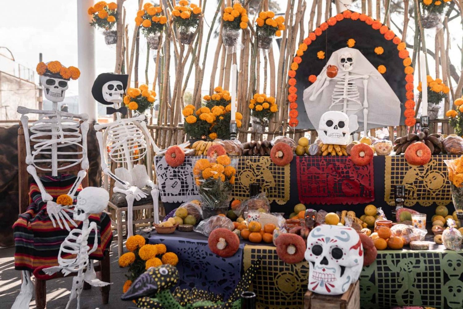 The Day of the Dead Tour in Mexico City