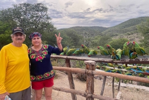 La experiencia guacamaya de San Luis Potosí