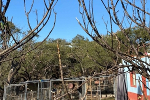 La experiencia guacamaya de San Luis Potosí