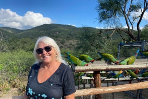 La experiencia guacamaya de San Luis Potosí