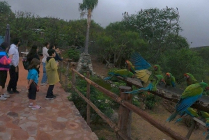 La experiencia guacamaya de San Luis Potosí