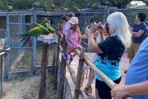 La experiencia guacamaya de San Luis Potosí