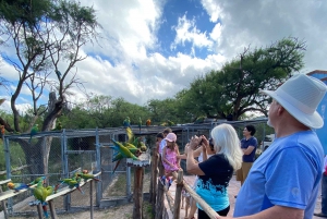 La experiencia guacamaya de San Luis Potosí