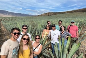 El viaje del mezcal