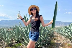 El viaje del mezcal