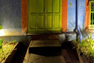 Ticket to The Frida Kahlo Museum