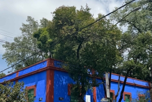 Ticket to The Frida Kahlo Museum