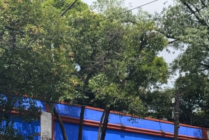 Ticket to The Frida Kahlo Museum