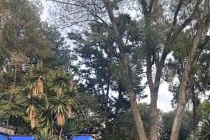 Ticket to The Frida Kahlo Museum