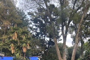 Ticket to The Frida Kahlo Museum