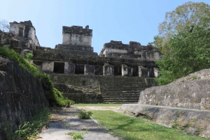 Tikal & Yaxha Archaeological Sites: 2-Day Tour