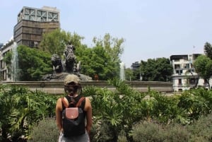 Private VIP Tour City Center, Guadalupe Shrine - Best Rated