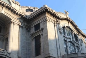 Private VIP Tour City Center, Guadalupe Shrine - Best Rated