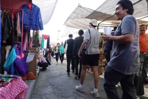 Tlatelolco y Mercado de La lagunilla Visita a pie Ciudad de México