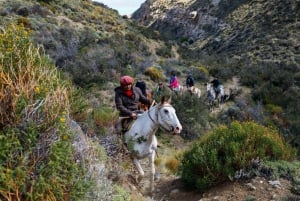 Tlaxco: Un Viaje a Caballo por la Naturaleza y la Tradición