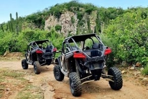 Todos Santos: 2023 RZR XP Pro Ultimate Off-Road Alquiler