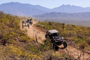 Todos Santos: 2023 RZR XP Pro Ultimate Off-Road Alquiler