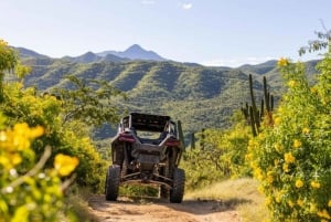 Todos Santos: 2023 RZR XP Pro Ultimate Off-Road Alquiler