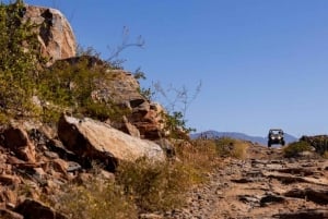 Todos Santos: Aventura Todoterreno Guiada Baja Rock Pirates