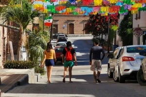 Todos Santos town tour