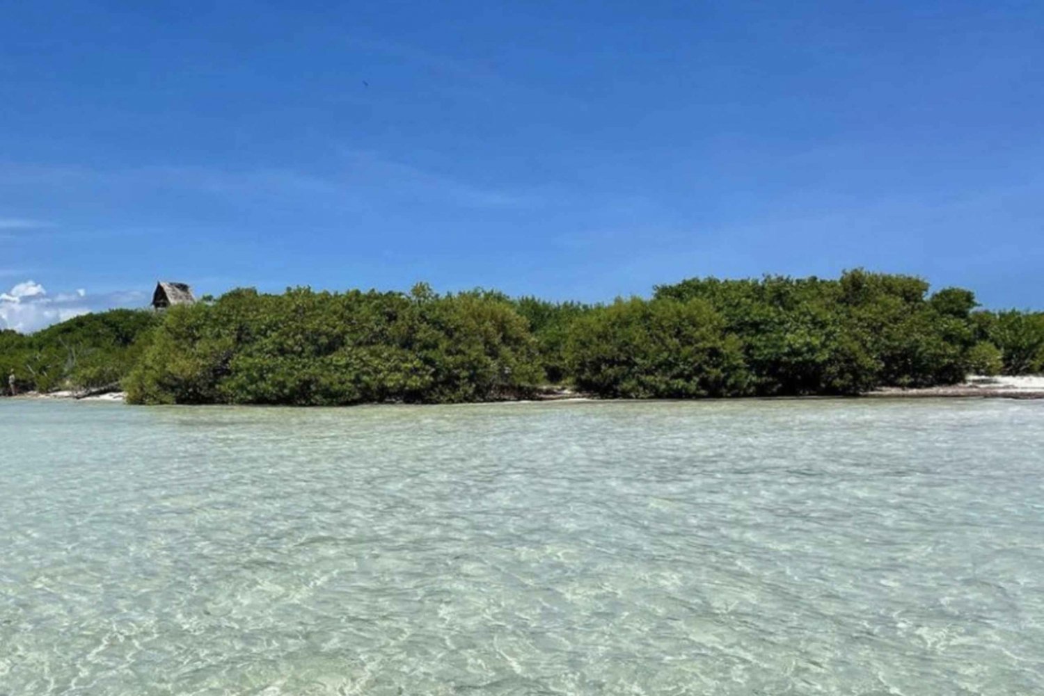 From Holbox: 3-Islands Wildlife and Swimming Boat Tour