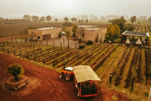 Excursión y Cata de Vinos en Cuna de Tierra