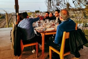 Excursión y Cata de Vinos en Cuna de Tierra