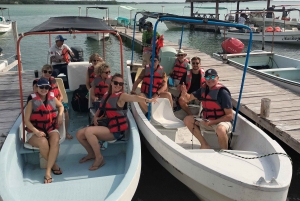 flamingo tour in Rio Lagartos, Yucatan 3 hours