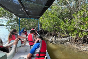 flamingo tour in Rio Lagartos, Yucatan 3 hours