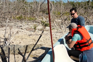 flamingo tour in Rio Lagartos, Yucatan 3 hours