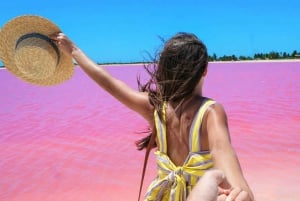 Desde Cancún: Excursión y Comida en Río Lagartos Las Coloradas