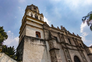 Excursión desde Ciudad de México: Coyoacán y Museo Frida Kahlo