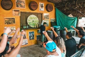 Tour en ATV por la Selva de Vallarta -Ruta Cuale