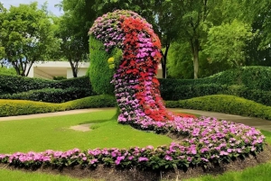 Ciudad de México: Explora los Jardines Mexicanos y el Pueblo de Tepoztlán
