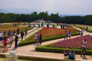 Ciudad de México: Explora los Jardines Mexicanos y el Pueblo de Tepoztlán