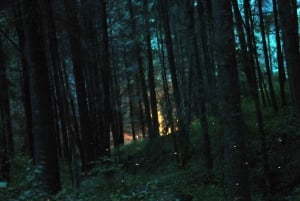 Tour of Tlaxcala and Sanctuary of the Fireflies