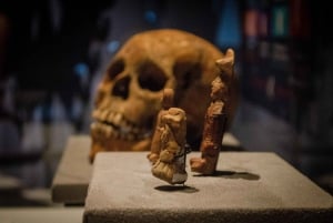 TOUR EXCLUSIVO TEMPLO MAYOR en CDMX - grupos reducidos