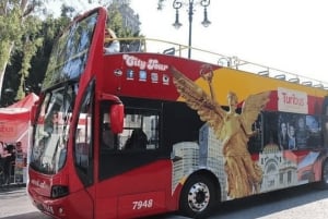 Tour to Teotihuacan by panoramic minibus