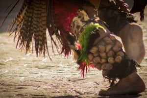 Tour to Teotihuacan by panoramic minibus