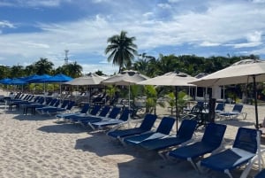 Tourist Buggy Tour of Cozumel Island - Chankanaab