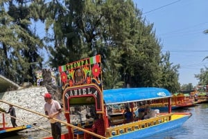 Xochimilco: Party on a trajinera with food, drinks, and music