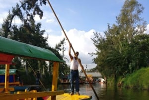 Xochimilco: Party on a trajinera with food, drinks, and music