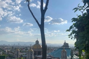 Trip through Teotihuacan, Basilica and Mezcal tasting.