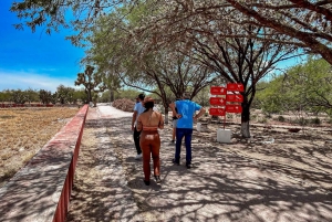 Teotihuacán, Tula y Tepotzotlán Pueblo Mágico