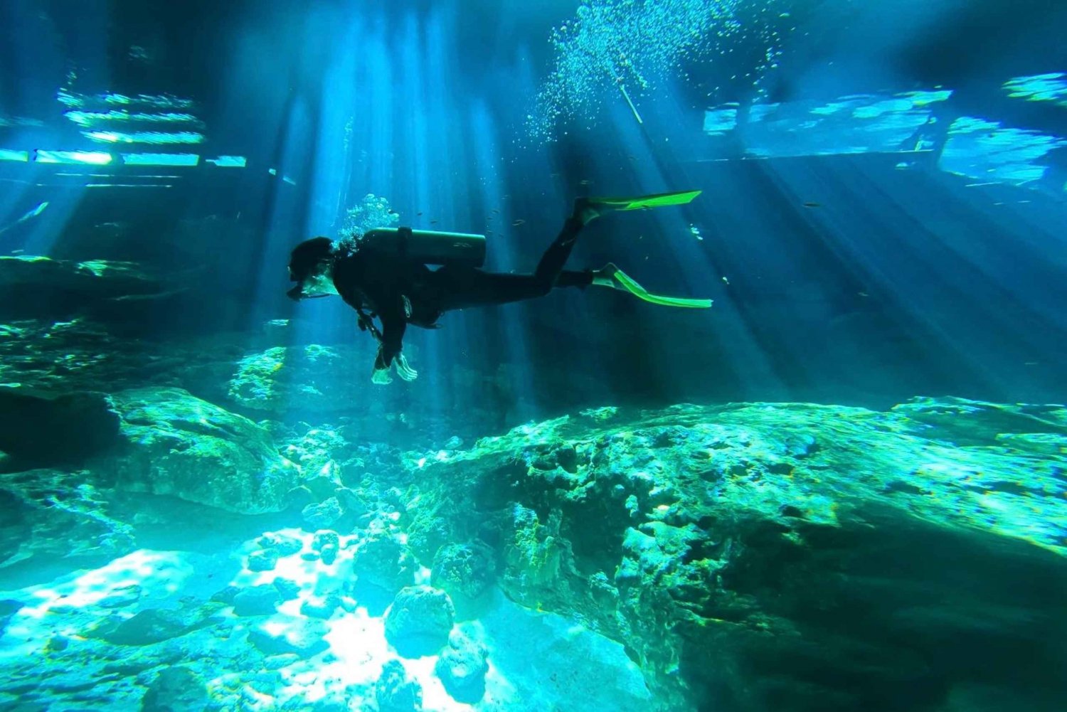 Tulum: 2 cenote dives, cenote Dos Ojos.