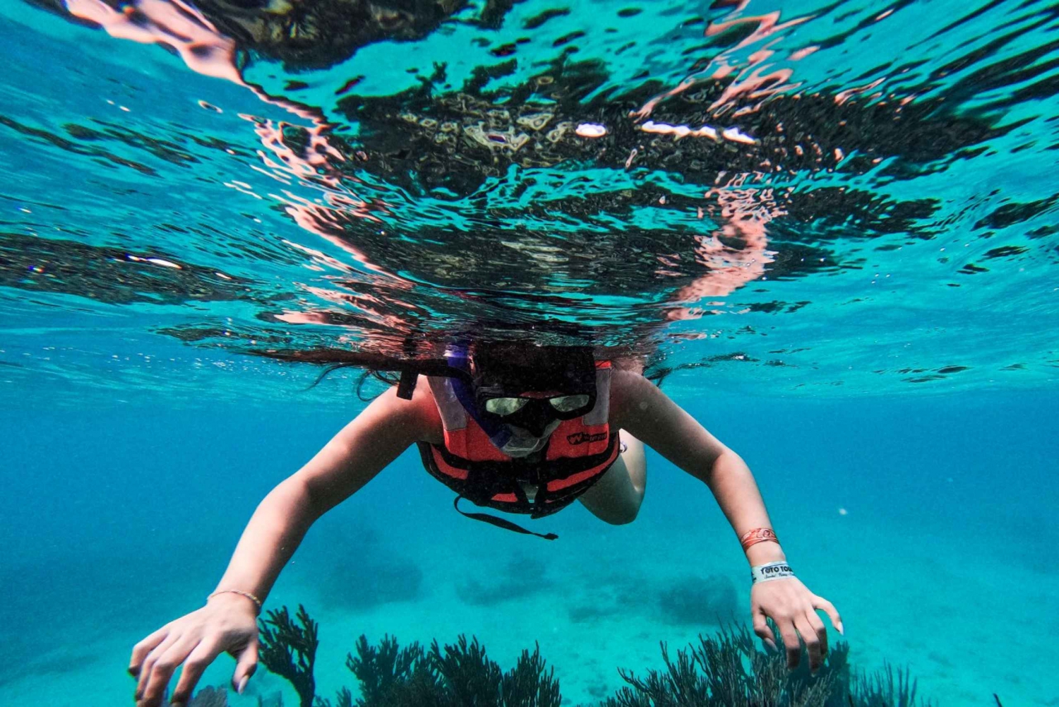 Tulum: 2 horas de snorkel en dos puntos del arrecife de Tulum