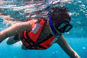 Tulum: 2-Hour Snorkeling in Two Spots of Tulum's Reef