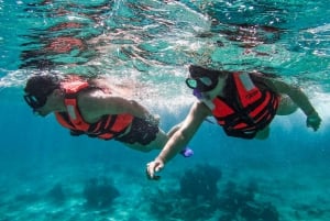 Tulum: 2-Hour Snorkeling in Two Spots of Tulum's Reef