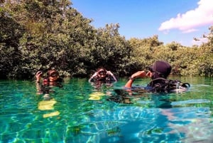 Tulum: 2 Tank Cenote Dive